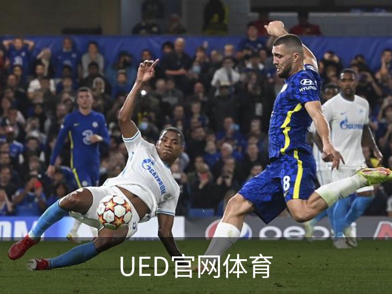 UED官网体育概况